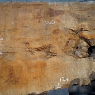 Sapeli Mahagoni pommelé, ca. 2400/1490 x 1240 x 40 mm, 13671