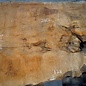 Sapeli Mahogany pommelé, approx. 2400/1490 x 1240 x 40 mm, 13671