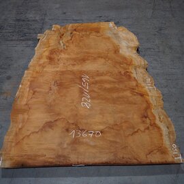 Sapeli Mahagoni pommelé, ca. 1650 x 1280 x 40 mm, 13670