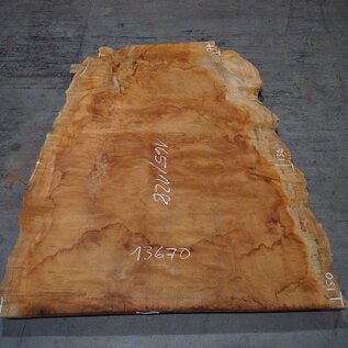 Sapeli Mahogany pommelé, approx. 1650 x 1280 x 40 mm, 13670