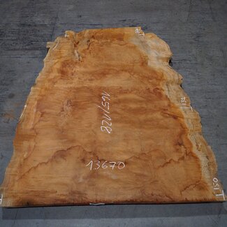 Sapeli Mahagoni pommelé, ca. 1650 x 1280 x 40 mm, 13670