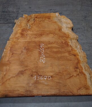 Sapeli Mahagoni pommelé, ca. 1650 x 1280 x 40 mm, 13670