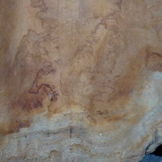 Sapeli Mahogany pommelé, approx. 1650 x 1280 x 40 mm, 13670