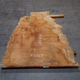 Sapeli Mahagoni pommelé, ca. 1500 x 1150 x 40 mm, 13669