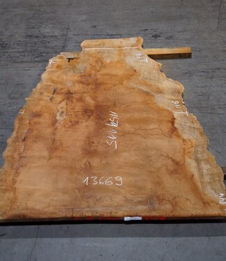 Sapeli Mahogany pommelé, approx. 1500 x 1150 x 40 mm, 13669