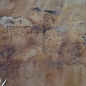 Sapeli Mahagoni pommelé, ca. 1500 x 1150 x 40 mm, 13669