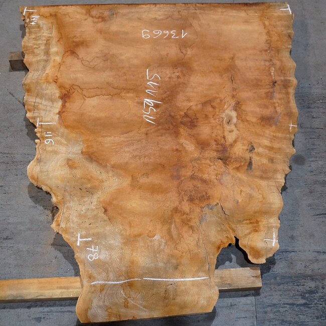 Sapeli Mahogany pommelé, approx. 1500 x 1150 x 40 mm, 13669