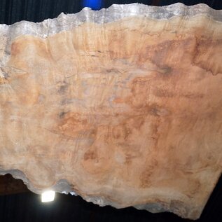 Sapeli Mahogany pommelé, approx. 1500 x 1150 x 40 mm, 13669