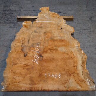 Sapeli Mahogany pommelé, approx. 1200 x 1010 x 40 mm, 13668