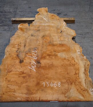 Sapeli Mahogany pommelé, approx. 1200 x 1010 x 40 mm, 13668