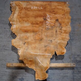 Sapeli Mahogany pommelé, approx. 1200 x 1010 x 40 mm, 13668