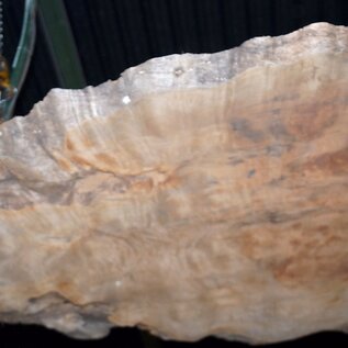 Sapeli Mahogany pommelé, approx. 1200 x 1010 x 40 mm, 13668