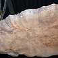 Sapeli Mahogany pommelé, approx. 1200 x 1010 x 40 mm, 13668