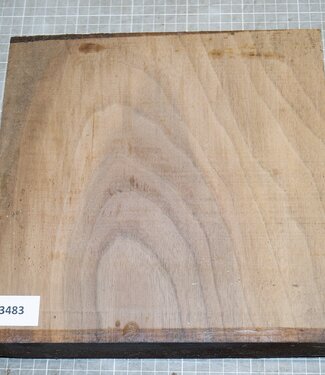 Black Walnut, ca. 250 x 250 x 34-52mm, 1,70kg