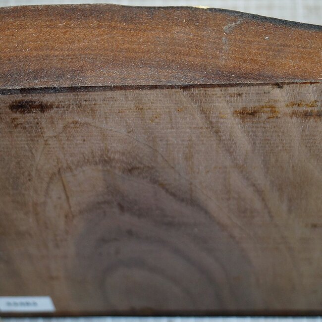 Black Walnut, ca. 250 x 250 x 34-52mm, 1,70kg