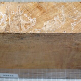 Olive, ca. 198 x 203 x 55mm, 2,04kg