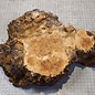 Grisard , Silberpappel, ca. 420 x 245 x 25-70mm, 2,24kg