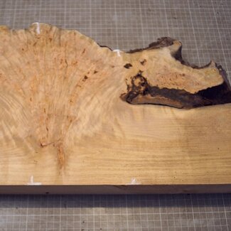 Grisard , Silberpappel, ca. 440 x 220-280 x 60mm, 4,14kg