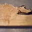 Grisard , Silberpappel, ca. 440 x 220-280 x 60mm, 4,14kg