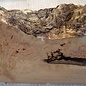 Grisard , Silberpappel, ca. 440 x 220-280 x 60mm, 4,14kg