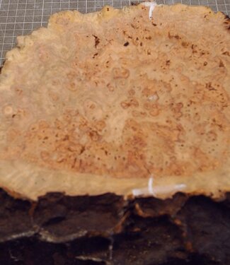 Grisard, approx. 400 x 200 x 70mm, 2,58kg