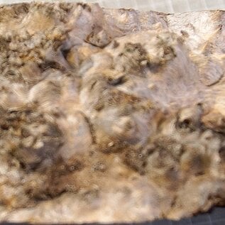 Grisard , Silberpappel, ca. 400 x 200 x 70mm, 2,58kg