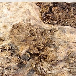 Grisard , Silberpappel, ca. 440x 200 x 62mm, 2,80kg