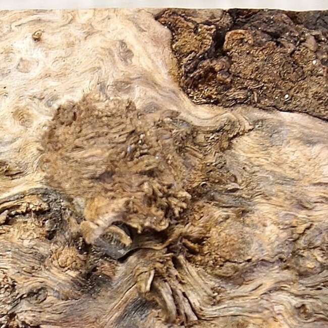 Grisard, approx. 440x 200 x 62mm, 2,80kg