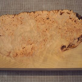 Grisard , Silberpappel, ca. 375 x 228 x 57mm, 3,50kg