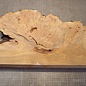 Grisard , Silberpappel, ca. 485 x 280 x 57mm, 4,18kg