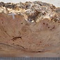 Grisard , Silberpappel, ca. 485 x 280 x 57mm, 4,18kg