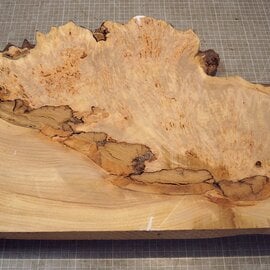 Grisard , Silberpappel, ca. 510 x 370 x 58mm, 5,60kg