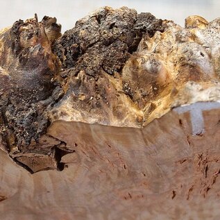 Grisard , Silberpappel, ca. 510 x 370 x 58mm, 5,60kg