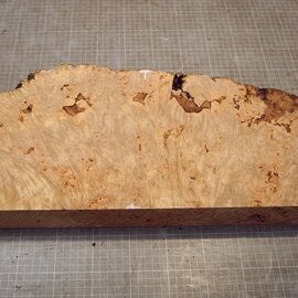 Grisard , Silberpappel, ca. 598 x 230 x 58mm, 4,88kg