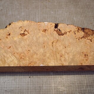 Grisard , Silberpappel, ca. 598 x 230 x 58mm, 4,88kg
