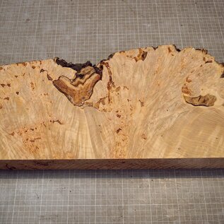 Grisard , Silberpappel, ca. 598 x 230 x 58mm, 4,88kg