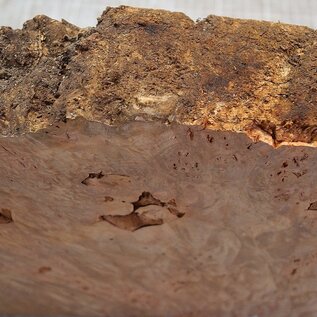 Grisard , Silberpappel, ca. 598 x 230 x 58mm, 4,88kg