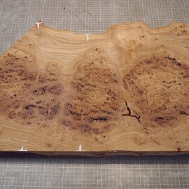 Kaukasische Rüster Maser, ca. 626 x 355-405 x 62mm, 7,44kg