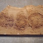 Kaukasische Rüster Maser, ca. 626 x 355-405 x 62mm, 7,44kg