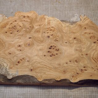 Caucasian Elm burl, approx. 626 x 355-405 x 62mm, 7,44kg
