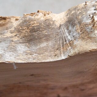 Caucasian Elm burl, approx. 626 x 355-405 x 62mm, 7,44kg