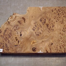 Kaukasische Rüster Maser, ca. 500 x 358 x 60mm, 5,22kg