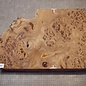 Kaukasische Rüster Maser, ca. 500 x 358 x 60mm, 5,22kg