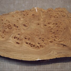 Kaukasische Rüster Maser, ca. 520 x 335 x 62mm, 4,36kg