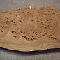 Caucasian Elm burl, approx. 520 x 335 x 62mm, 4,36kg
