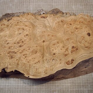 Kaukasische Rüster Maser, ca. 520 x 335 x 62mm, 4,36kg