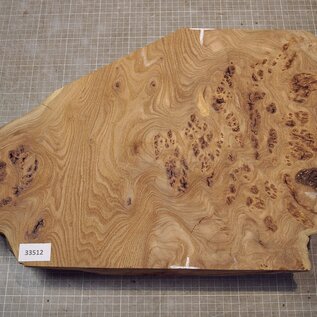Kaukasische Rüster Maser, ca. 480 x 350 x 58mm, 4,12kg
