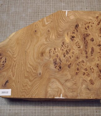 Kaukasische Rüster Maser, ca. 480 x 350 x 58mm, 4,12kg