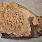 Kaukasische Rüster Maser, ca. 480 x 350 x 58mm, 4,12kg