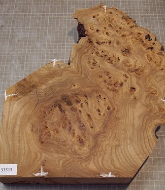 Kaukasische Rüster Maser, ca. 345 x 260-420 x 62mm, 3,18kg